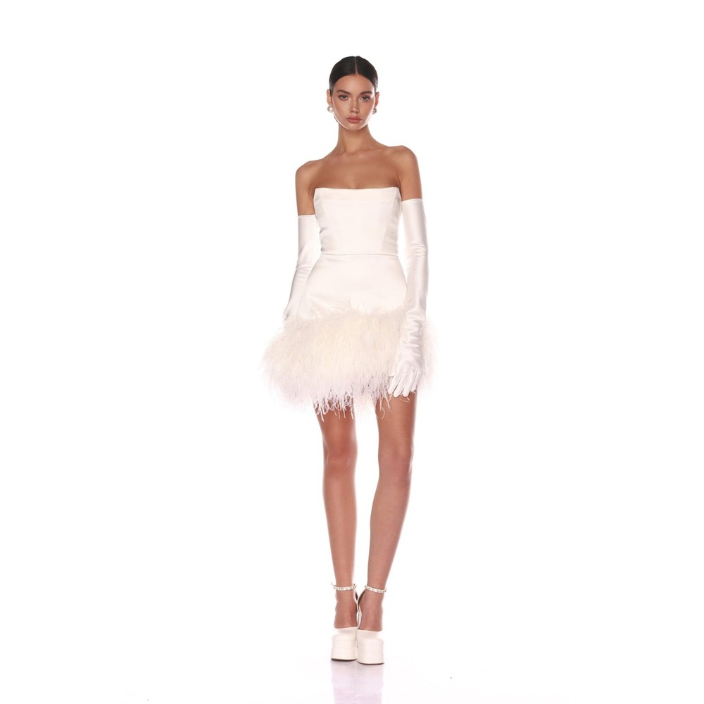 NWT Bronx and Banco Fiora Feather-Trimmed Strapless Mini Dress $950 - Size US 8 - Picture 5 of 13